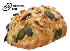 Dinkelbrötchen hell mit Kürbiskernen