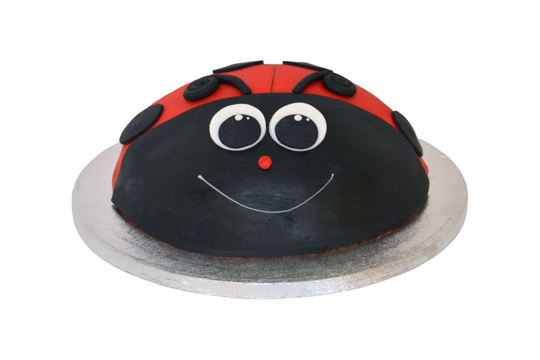 Spezialtorten – Bild 9